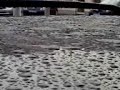 Shark XPLORE in Kombi wasser test (leider mit handy kamera) Shark XPLORE in Kombi wasser test (leider mit handy kamera)