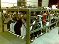 ensayo macarena madrid 2008