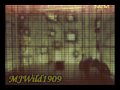 Video screenshot