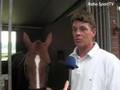 Paardensport - Voorspoedig herstel Jeroen Dubbeldam