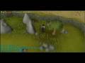 videos de Low level clue scroll reward
