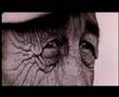 The Parallax View - 1974