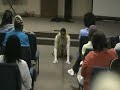 moving-forward-dance-presentation.html