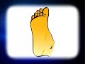 Pain the the ball of the foot www.footkneepain.com.au
