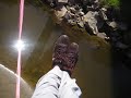 Bridgejumping Wildthing Bridgejumping Wildthing
