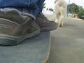 Longskate Dog Mushing