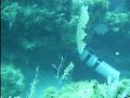 Dive French Reef, Key Largo