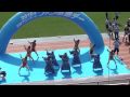 2010���ե��󥿡���ե��󴶼եǡ� with ����������:YouTube������=1,377��