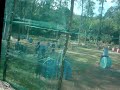 Paintball dos leks Paintball dos leks