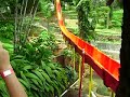 Kamikaze - Goiânia Park Resorts Kamikaze - Goiânia Park Resorts