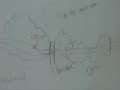 Decomposers