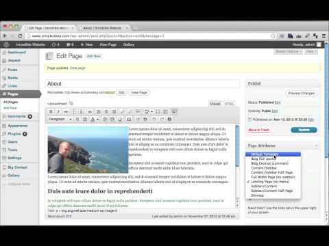 how to use wordpress.org