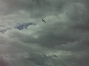 farnbrough air show 2008