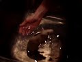 Rat Bath