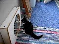 Kitten - Mirror Fight