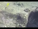 Koloa landing part 2