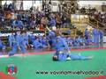 videos de Vovinam Forbici Castiglione 2008