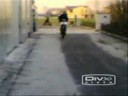 impennate - a compagnia de scandoeara 2008