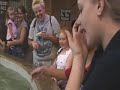 Feeding the Skates