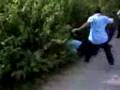 videos de pelea total123