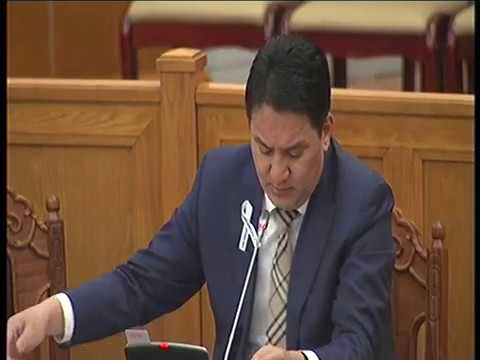 Н.Учрал: Хуульд төрийн албан хаагчдыг ялгаварлан гадуурхсан, яаж хэмжих нь ойлгомжгүй заалтууд орсон байна