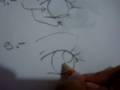 Como Dibujar Manga (ojo)
