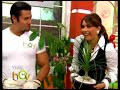Seccion de plantas | Programa Hoy