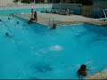 EXTREEEME freestyle springboard diving