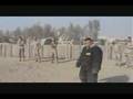 partol dogs and devil dogs