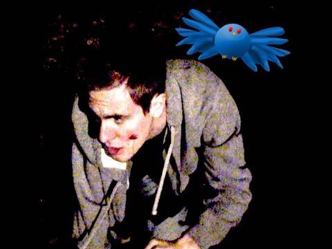Twitter Bird HORROR: Part 1