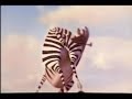 Madagascar Vive La vida