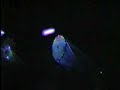 video by xanti