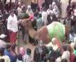 moulay-brahim imlil maroc tamazight asni agendiss