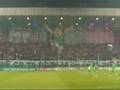 videos de Wisła-Lechia (3)
