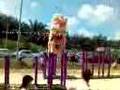kelapa sawit lion dance at kcc part 2