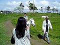 videos de reinier gabriel horseback riding2