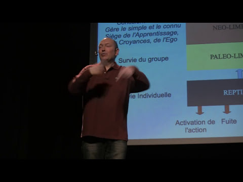 Image de prévisualisation YouTube