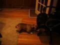 videos de Benny vs. chair
