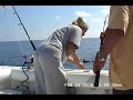 GIANT GREATER AMBERJACK