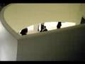 The-Guggenheim-Museu