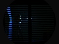 Amygdala (stop-motion animation) Amygdala (stop-motion animation)