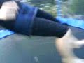 katy relph on the trampoline