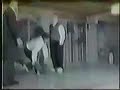 wang shu jin doing tai chi applications