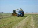 ensilage