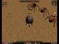 BaeR killt die Schildkröte Metin2 Kartago