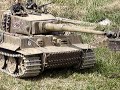 1/6  tiger,large scale