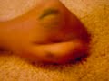 ayo technology hand puppets