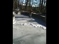 Patinaje sobre hielo