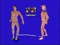 ABUT VE �?N AKUPUNKTURU D�RD�NC� B�L�M
