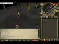 videos de clip0003.avi